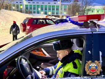 Как перевозят юных пассажиров, проконтролировали сотрудники Госавтоинспекции Петропавловска-Камчатского 4