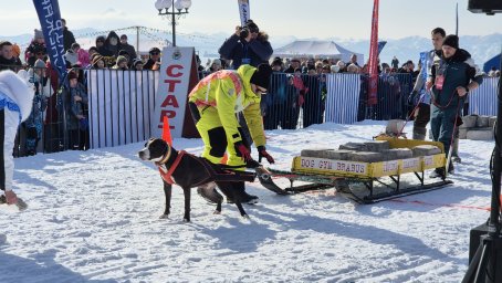 День защитника Отечества и городской фестиваль зимних видов спорта прошли в Петропавловске-Камчатском 25
