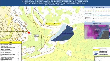 В черте Петропавловска-Камчатского объявлена лавинная опасность 0