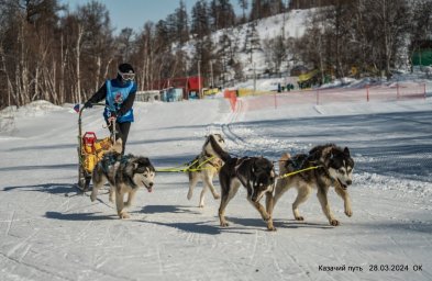 В Эссо в 10 раз состоялась гонка на собачьих упряжках «Казачий путь» 10