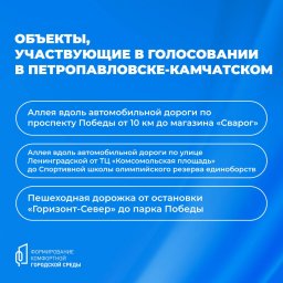 Жителей Петропавловска-Камчатского приглашают принять участие в голосовании за объекты благоустройства 4