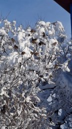 Снежным творчеством поделились государственные инспекторы Кроноцкого заповедника на Камчатке 6