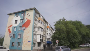 Новые граффити появятся на торцах домов в посёлке Авача и бывшем Ленинском районе в столице Камчатки