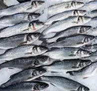 Снабжаем: Камчатский регион успешно продаёт рыбу за рубеж