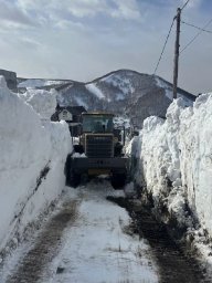 Сезонные работы по содержанию улично-дорожной сети проходят в столице Камчатки 8