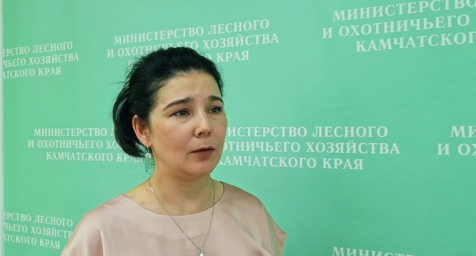Два лесных пожара ликвидировали пожарные на Камчатке 0