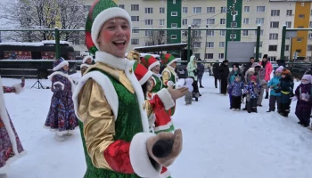 Сезон новогодних елок стартовал в краевой столице на Камчатке