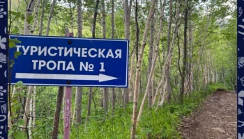 В бюджеты муниципальных образований от туристического налога поступило почти 27 миллионов рублей на Камчатке