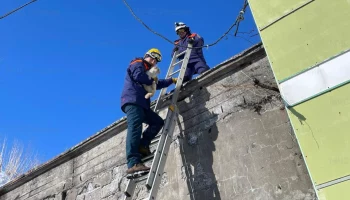 Кота спасли спасатели, который застрял под фасадом здания