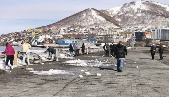 Первый весенний субботник прошёл в Петропавловске-Камчатском