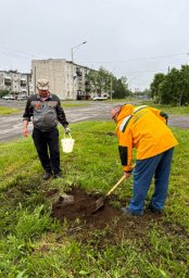 45 саженцев березы и ели высадили в селе Коряки на Камчатке 0