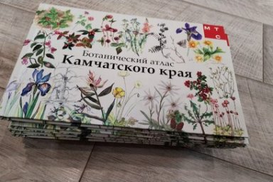 Ботанический атлас, созданный с участием воспитанников детских художественных школ, презентуют на Камчатке 2