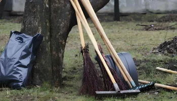 Всероссийской субботник пройдет 25 апреля в Камчатском крае