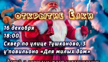 Детский новогодний праздник пройдет сегодня в Петропавловске-Камчатском на ул. Тушканова