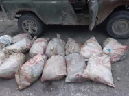 Камчатские полицейские за время операции «Путина-2022» изъяли более 60 тонн рыбопродукции