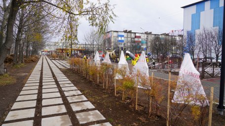 Сквер Строителей стал доступен для посещения гражданами в Петропавловске-Камчатском 1