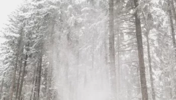 Обнаружена часть пропавшей туристической группы в Камчатском крае