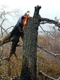 Готовность к пожароопасному сезону подтвердило Федеральное агентство лесного хозяйства Камчатского края 1