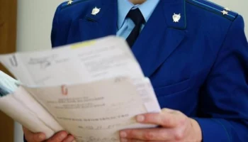 В отношении камчатской чиновницы по делу отлова бездомных собак уголовное дело не возбуждали В отношении камчатской чиновницы по делу отлова бездомных собак уголовное дело не возбуждали