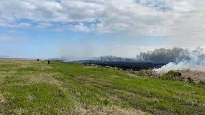 Более шести гектаров сухой растительности выгорело на Камчатке