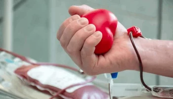 Участие в донорской акции приняли студенты государственного технического университета на Камчатке