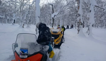 Спасатели завершили эвакуацию группы туристов с Пущинских источников на Камчатке