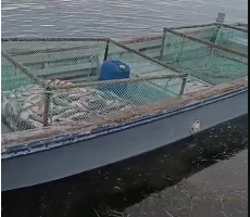 Брошенные сети и улов обнаружены в Тиличиках на Камчатке