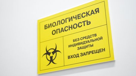 Восьмое место в России на рынке гослабораторий занимает лаборатория Центра СПИД на Камчатке 10