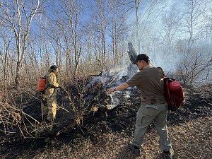 Сотрудники Кроноцкого заповедника помогли ликвидировать пожар в Елизово на Камчатке 1
