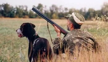 Сезон охоты на пушных зверей и глухаря закончился в Камчатском крае