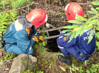 На Камчатке спасатели вытащили из двухметровой ямы спаниеля 5