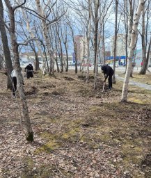 Очередной майский субботник прошел в Петропавловске-Камчатском 2