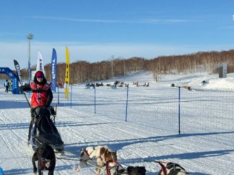 Старт многодневной гонке на собачьих упряжках &laquo;Берингия.Авача &ndash;2026&raquo; дан на Камчатке 6