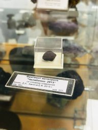 Практическое занятие в геологическом музее для магистрантов из Индии и Китая провели на Камчатке 2