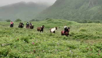 Туроператоров для организации социальных туров отбирают на Камчатке