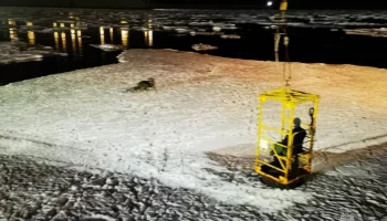 Собаку с дрейфующей льдины спасли камчатские спасатели