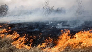 На Камчатке выгорело более 16 га травы с начала пожароопасного сезона
