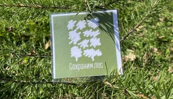 Акция «Сохраним лес» прошла в Усть-Камчатском округе Камчатского края