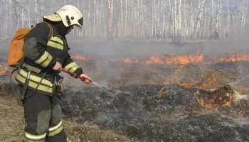 Повышены классы пожарной опасности на некоторых территориях Камчатки