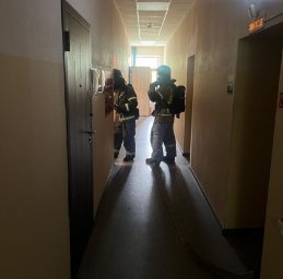 Совместные противопожарные учения подразделений Росгвардии и МЧС России прошли на Камчатке 0