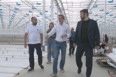 Тепличный комплекс «Камчатский» запустили в тестовом режиме 0