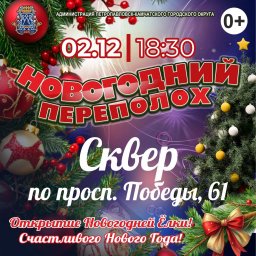 Открытие новогодних ёлок стартует с 1 декабря в Петропавловске-Камчатском 1