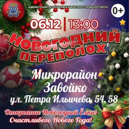 Открытие новогодних ёлок стартует с 1 декабря в Петропавловске-Камчатском 9