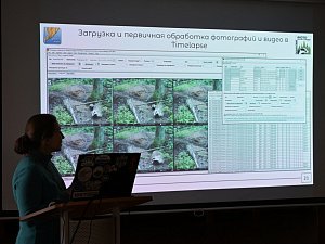 Долговременную сеть фотомониторинга намерены развернуть в Кроноцком заповеднике на Камчатке 1