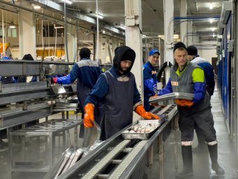 Инвестиции рыбопромышленных предприятий направят на развитие прибрежных поселков в Камчатском крае 0