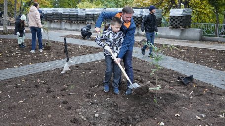 Аллею флота в столице Камчатки украсили молодые деревья 3