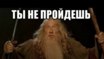 Оперативная группа выехала на место появления медведя в Петропавловске-Камчатском Оперативная группа выехала на место появления медведя в Петропавловске-Камчатском