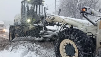 Евгений Беляев прокомментировал ситуацию с МУП «Спецдорремстрой» в Петропавловске-Камчатском Евгений Беляев прокомментировал ситуацию с МУП «Спецдорремстрой» в Петропавловске-Камчатском