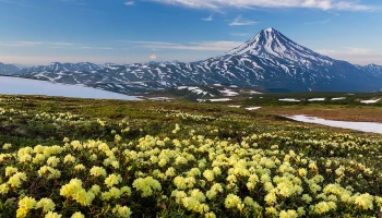 Афтершоки продолжают фиксировать на Камчатке
