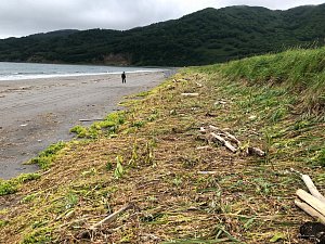 5 ноября — Всемирный день распространения информации о проблеме цунами — значимая дата для Камчатки 1